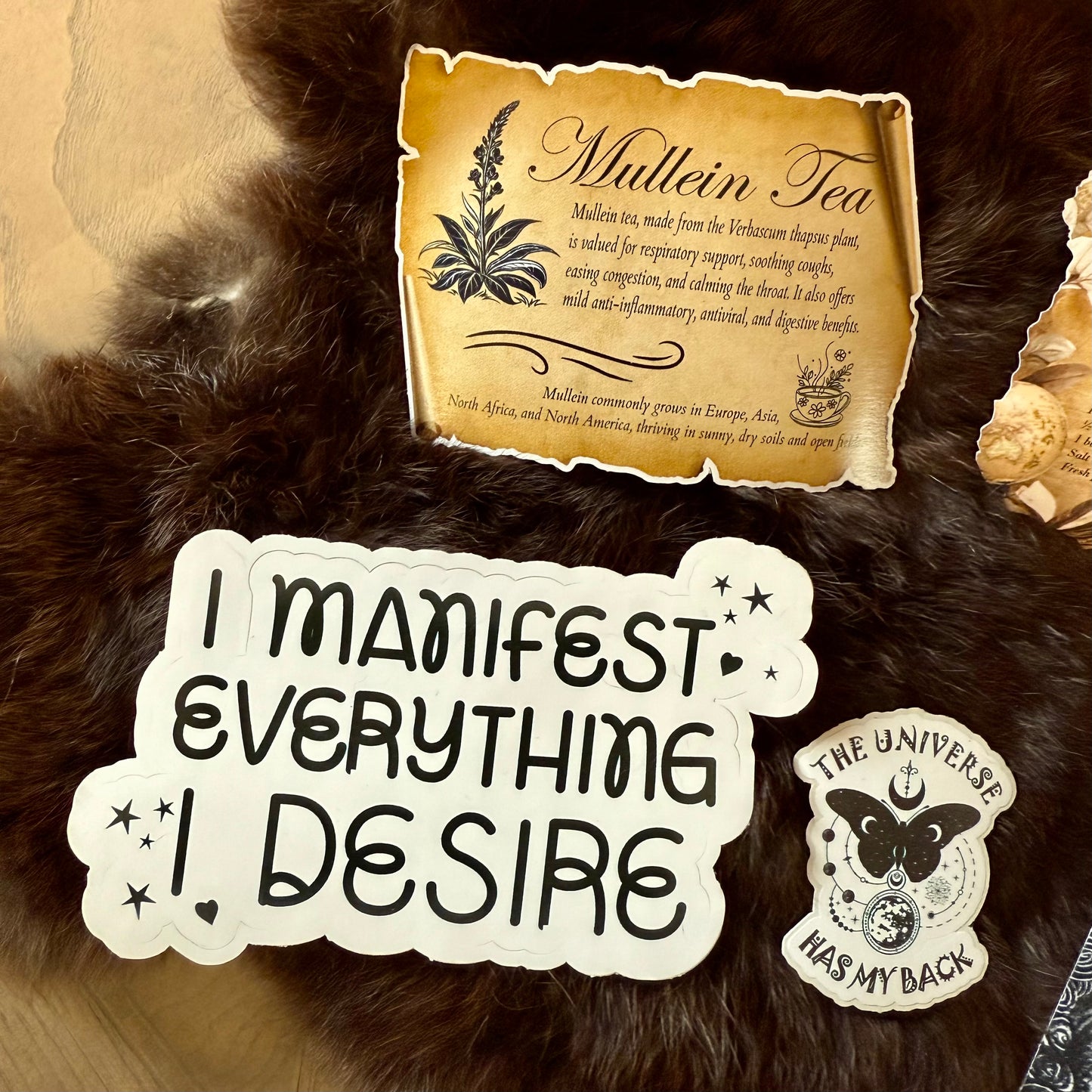 Wise Women of The Woods October Bundle