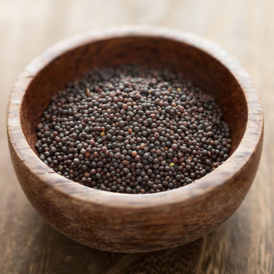Mustard Seed Whole - Black - North Witch Magick Co.